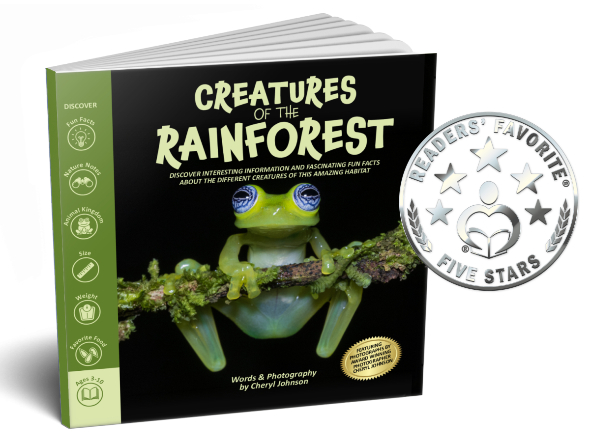 Creatures of the Rainforest - $14.99