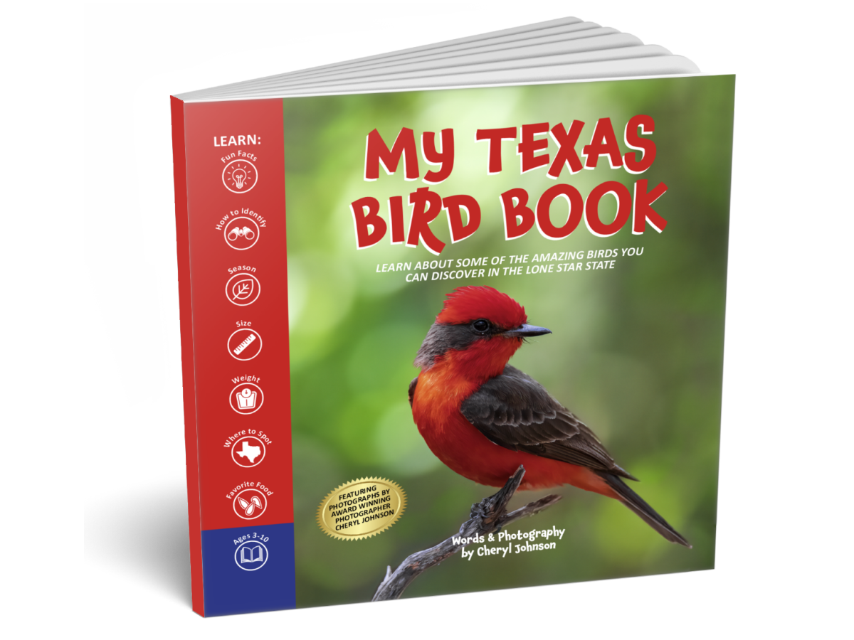 My Texas Bird Book - $14.99