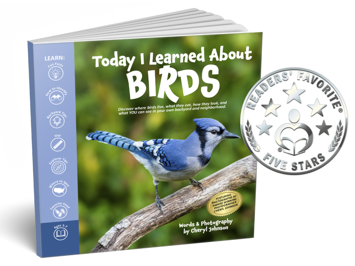 Today I Learned About Birds - $14.99